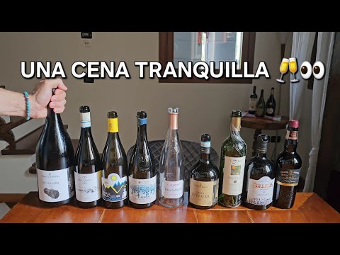 Riassunto di una cena TRANQUILLA ep.3 🥂🔥👀