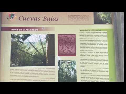 Noria de la Agusadera, Cuevas Bajas (Rincn Singular)