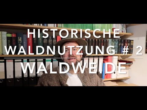 Forest pasture - Historical forest use # 2