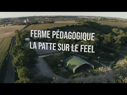Découverte aérienne de la Ferme la Patte sur le Feel
