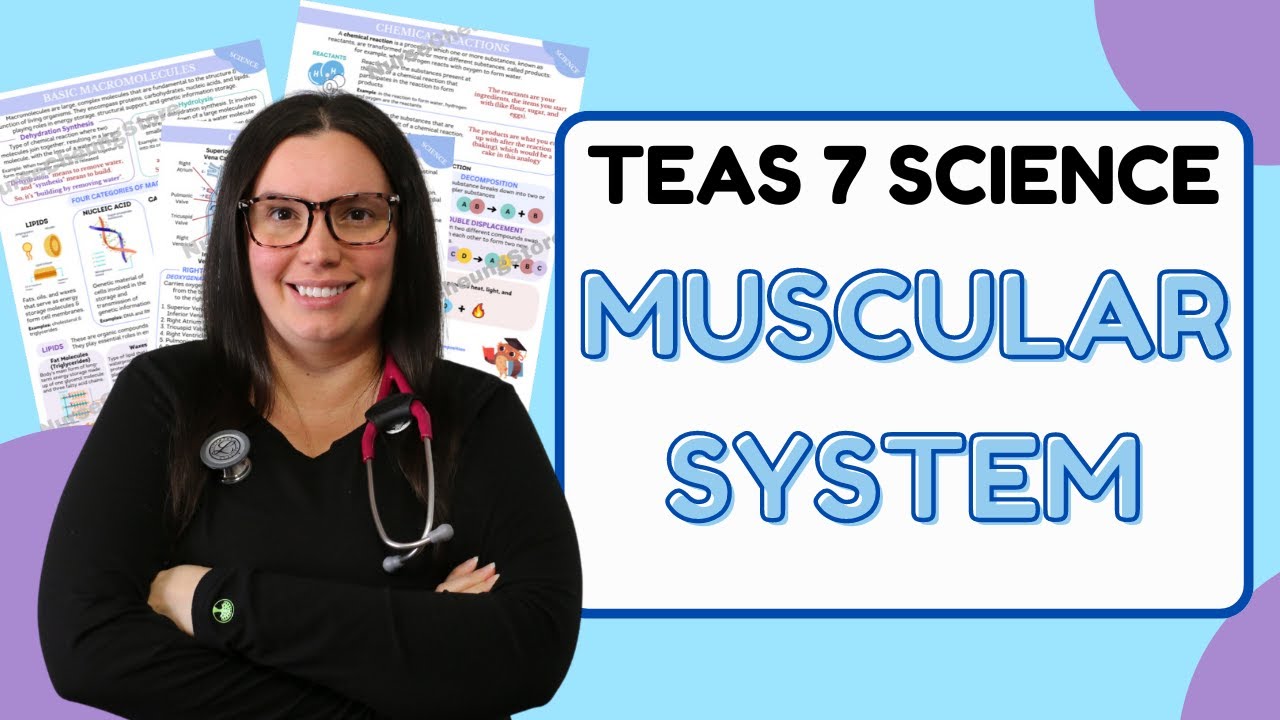 2024 ATI TEAS 7 Science Anatomy and Physiology Muscular System with Nurse Cheung
