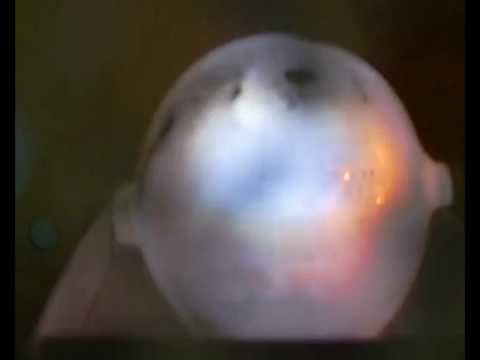 George Egely - Plazmix2 - Cold Fusion | Egely György - Plazmix2 - Hideg fúzió