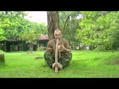 Didge and Berimbau; Ancient Harmonic Twins