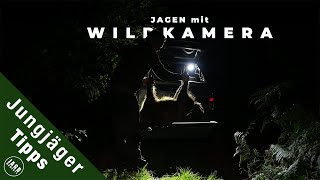Effektive Jagd auf Sauen mit Wildkameras | Jungjägertipps