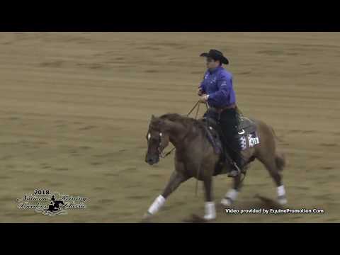 Tunes In Hollywood ridden by Gabriel Diano  - 2018 NRBC (Sec. 1 Open Finals)