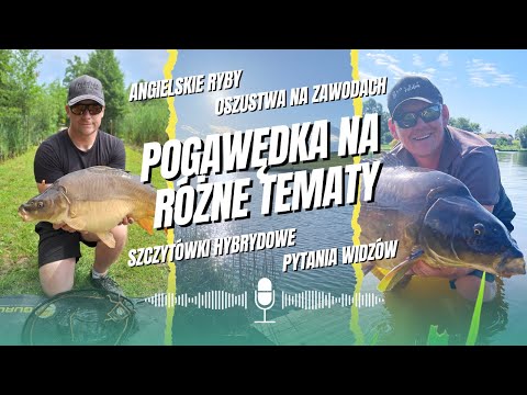POGAWĘDKA - angielskie ryby / oszustwa na zawodach / szczytówki hybrydowe / pytania widzów