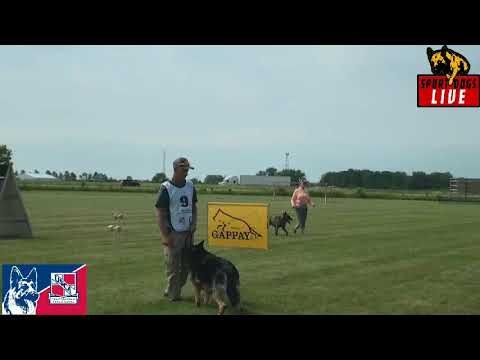 2021 WUSV Qualification Trial