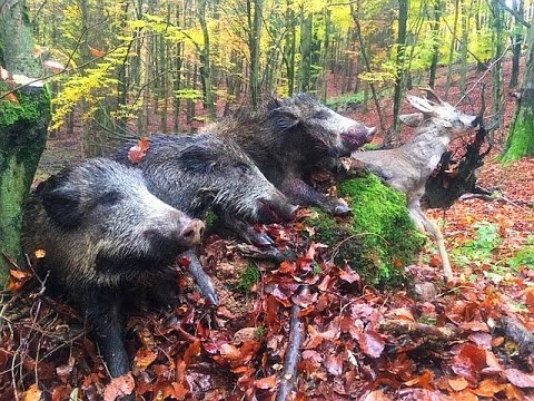 Driven Hunt 2020 w Shotkam (2)