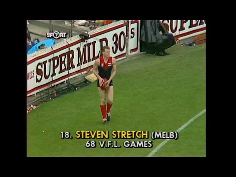 1988 VFL Grand Final - Hawthorn v Melbourne - MCG