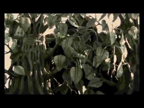 Carnevale di Viareggio 2009 - l'isola misteriosa