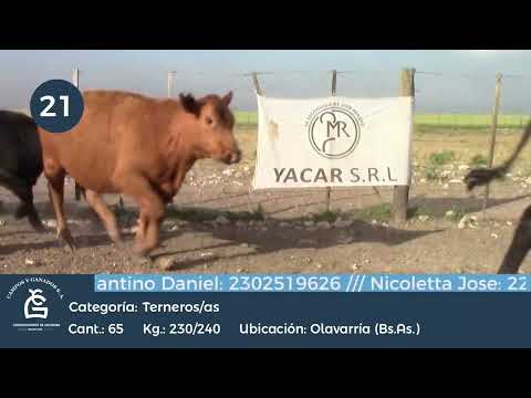 Lote M y H - Olavarria Bs As