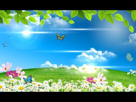 EMANET PORODICE - iz knjige Sretna porodica - Muaz Sultanic