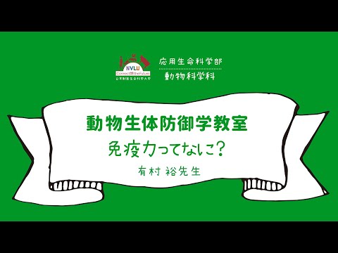動物科学科 免疫力ってなに？【日本獣医生命科学大学 応用生命科学部 １分動画 動物生体防御学教室】