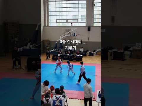 태권도 3품 심사대회 겨루기하는 아들♡ 빨간색!