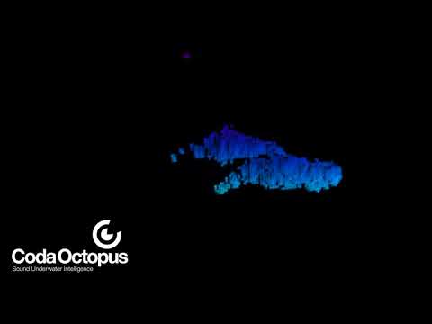 Video of Orca Whales using the Coda Octopus Echoscope®