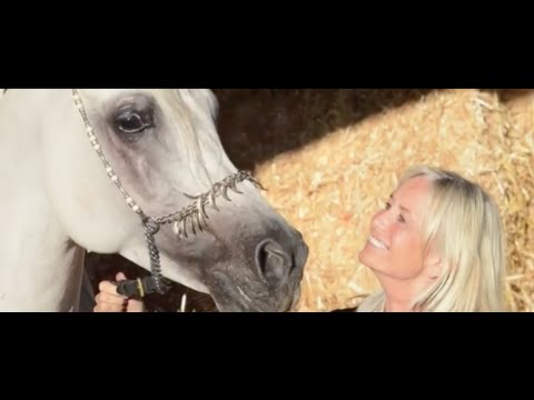 SG Imagine, bred by Susan George at Georgian Arabians.