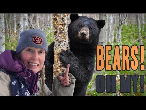 Dealing With Black Bears in the Woods Video