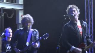 Tommy Stinson at Riot Fest