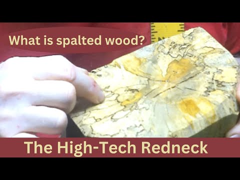What  is Spalted Wood?
