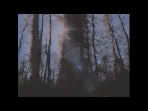 [FREE] BONES X DREW THE ARCHITECT X GREAF TYPE BEAT - "Campfire"