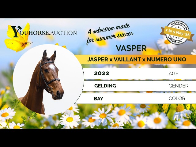 Vasper