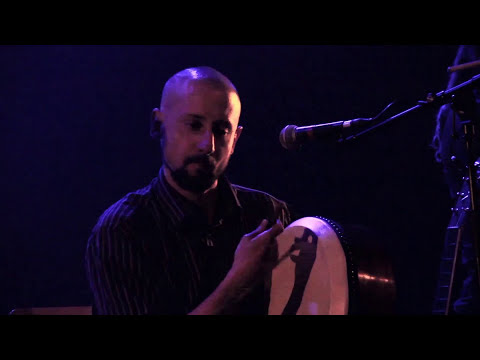 Bogside of the moon - Two Island swans