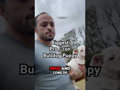 Charter Arms Bulldog - Good or Garbage? #wheelgun 