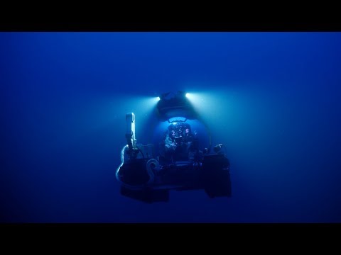 Exploring the Alien World of Brine Pools