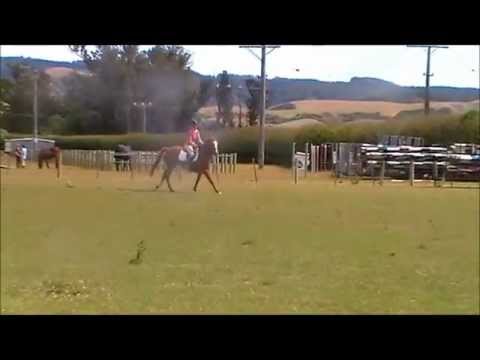 SBF Jungle Fever SOLD - First Jill Ullrich lesson