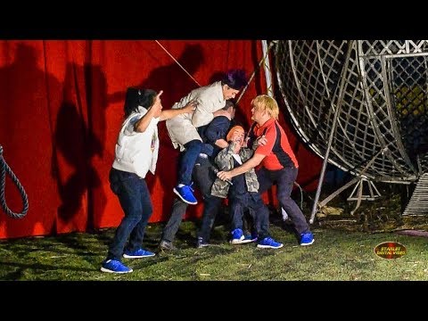 Producciones Morales 2017