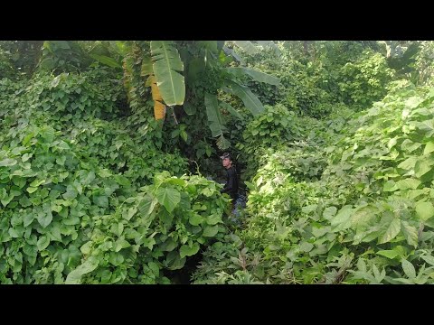 SE02EP099 Part 2 - HALWAT kung HALWAT Para sa MAMAW | ilalim ng MAKATING BAJANG -Attack of THE TITAN