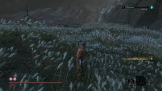 SEKIRO　剣聖　葦名一心　5周目　苦難厄憑き