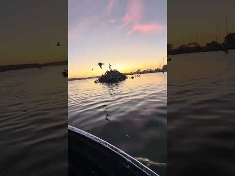 Piller point marina , half moon bay , my home for the next 2 months