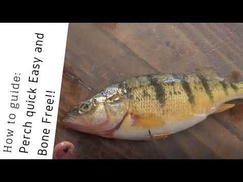 Survive off Fish! How to clean Perch Quick Easy and Boneless!