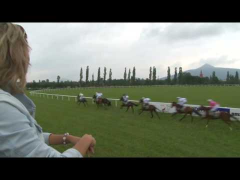 MI, 17. 7. 2016, 1. dostih - Cena města Mimoně I.odd.