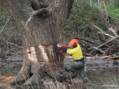 HUSQVARNA 592XP Tuning - Autotune 3