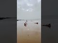 Goa Status I Goa Whatsapp Status Video I Goa Attractions I Goa Whatsapp Status Best Goa Status