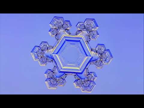 wonders of God's creation