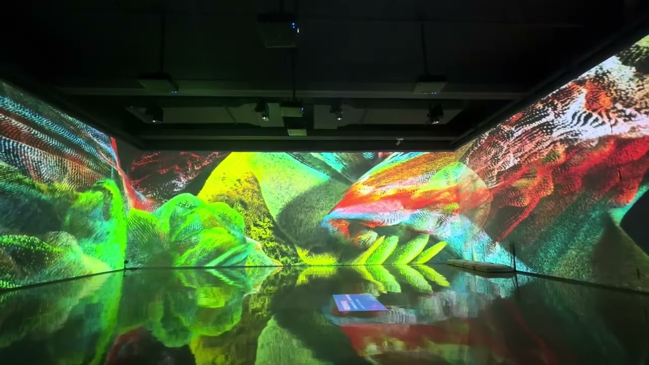 POST-NATURE immersive solo art exhibition in Shanghai