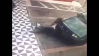 No me ha visto nadie