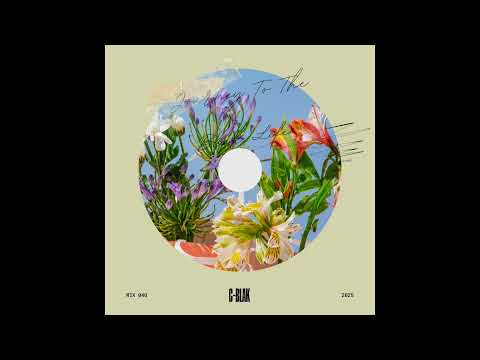 Journey To The Blak Life 040 mixed by C-Blak 