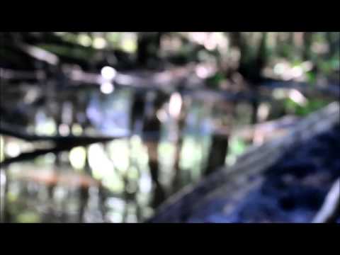 Hubb & Wolftek - Hide Away Your Fears (Music Video)