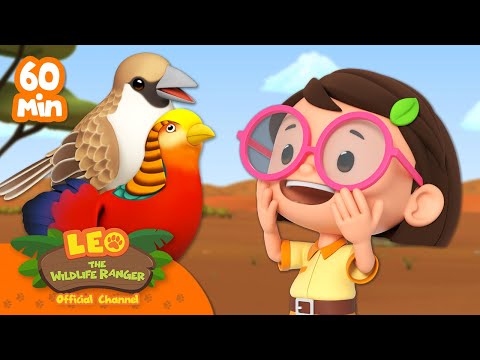 Witness21  2023 07 23