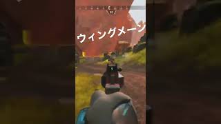 ウィングメーン練習中