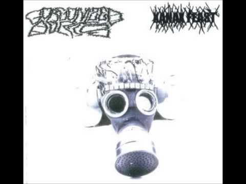 Gorgonized Dorks - Snake In The Grass