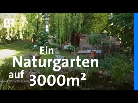Naturgarten mit Gartenteich | Seltenes Saatgut und Anbautechniken von früher | Frankenschau | BR