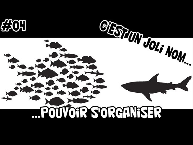 Vidéo, Micro Lopé - #4 # Pouvoir s'organiser