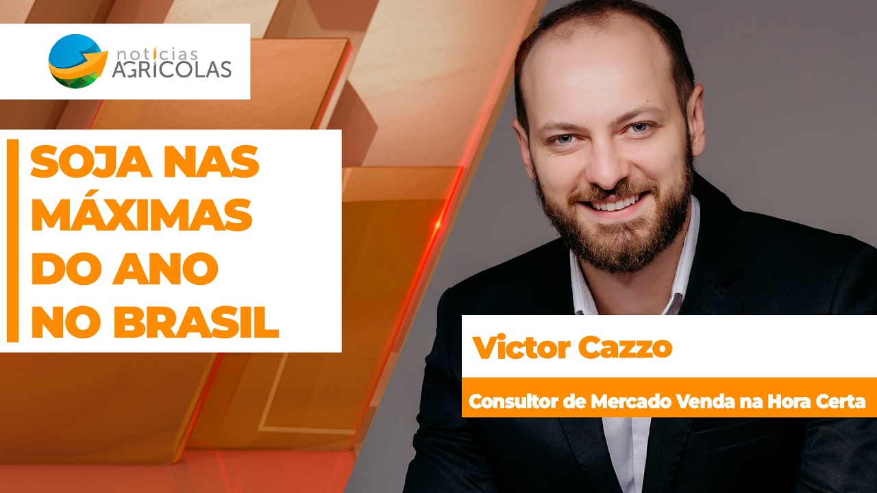 Preços da soja renovam máximas do ano no Brasil e produtor avança com negócios para safras...