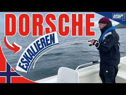 🇳🇴 COD GOING CRAZY | Big catches in Helnessund 🇳🇴 under the midnight sun in Norway 2025