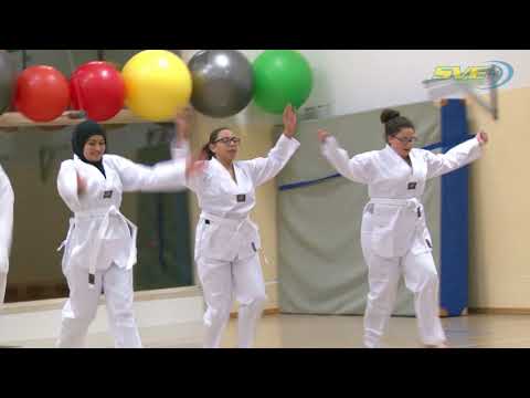 SV Eidelstedt Hamburg -  Taekwondo